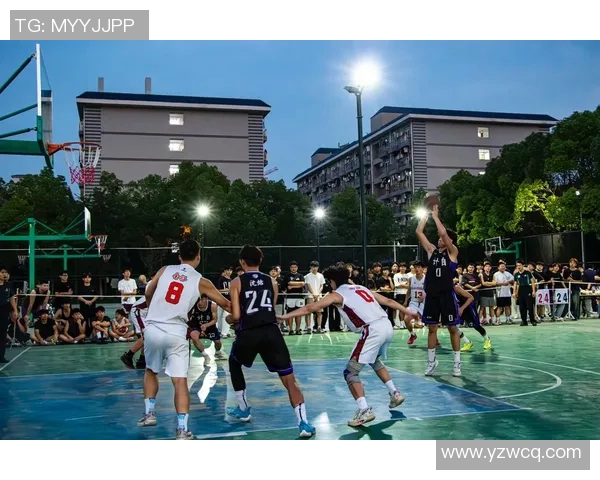 篮球粉丝明星齐聚一堂共同庆祝篮球文化的魅力与热情