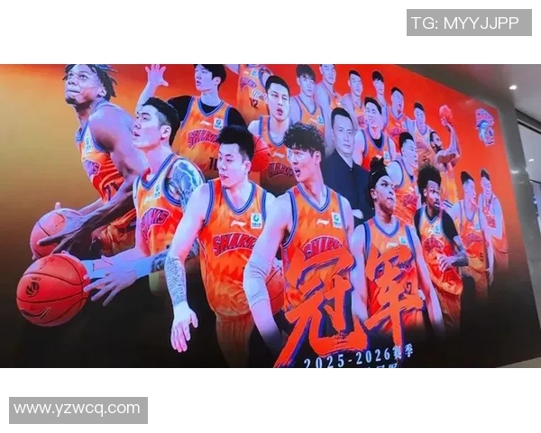 上海篮球国际明星赛事盛典即将开启全球球迷热情期待精彩对决
